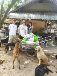 357134350_595093042769394_4147857318161772476_n.jpg - Thank you for all Donations ทุกความเมตตาทุกความช่วยเหลือ ของทุกๆท่าน แม้ผู้ที่ไม่ประสงค์ออกนาม ทุกการให้ สิ่งของ ทั้งที่มามอบด้วยตัวท่านเองและ ส่งมาทางพัสดุ อาหาร ที่เกี่ยวกับสัตว์ | https://www.santisookdogandcat.org