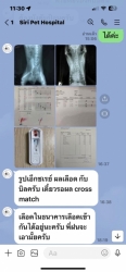 361601632_603658805246151_5980653017608565883_n.jpg - update อาการของสุนัข น้องชื่อต้นรัก | https://www.santisookdogandcat.org