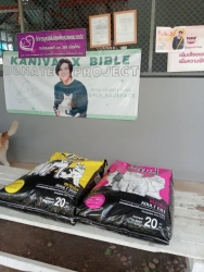 362271347_611169434495088_1803040864506512102_n.jpg - Thank you for all Donations ทุกความเมตตา ”ทุกความช่วยเหลือ” ของทุกๆท่าน แม้ผู้ที่ไม่ประสงค์ออกนาม” | https://www.santisookdogandcat.org