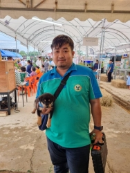 363352160_614273087518056_3060053532554250465_n.jpg - Successful 17 puppys 2 Kitten adoption ผ่าไปกิจกรรมหาบ้านให้ลูกสุนัข ลูกแมวจรจัด ในงาน ลำพูนเกษตรแฟร์ ที่ทางมูลนิธิสันติสุขเพื่อสุนัขและแมวจรจัด ได้นำลูกสุนัข และ แมว ไปหาบ้านใหม่ | https://www.santisookdogandcat.org