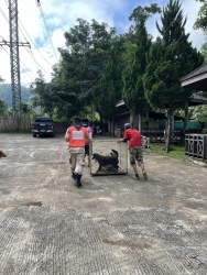 394520198_655719893373375_410873044634147996_n.jpg - TNR Spay/Neuter โครงการทำหมัน(ฟรี) มูลนิธิสันติสุขเพื่อสุนัขและแมวจรจัด อำเภอปาย จังหวัดแม่ฮองสอน ทางมูลนิธิได้ทำหมัน ให้สุนัขและแมวที่ห่างไกลความความเจริญ ขาดโอกาส จึงทำให้สุนัขและแมว | https://www.santisookdogandcat.org