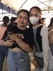 365991312_618387700439928_3297793263785291581_n.jpg - ทำหมัน ท่านที่รับอุปการะ ลูกสุนัขในงาน “ลำไยลำพูน” สามารถติดต่อกลับ เพื่อลงทะเบียน “ทำหมัน” ได้แล้วค | https://www.santisookdogandcat.org