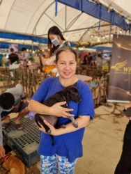 366929901_618386993773332_251327332313362410_n.jpg - ทำหมัน ท่านที่รับอุปการะ ลูกสุนัขในงาน “ลำไยลำพูน” สามารถติดต่อกลับ เพื่อลงทะเบียน “ทำหมัน” ได้แล้วค | https://www.santisookdogandcat.org