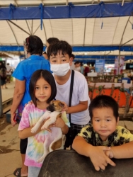 367712582_618387667106598_1416450475735014819_n.jpg - ทำหมัน ท่านที่รับอุปการะ ลูกสุนัขในงาน “ลำไยลำพูน” สามารถติดต่อกลับ เพื่อลงทะเบียน “ทำหมัน” ได้แล้วค | https://www.santisookdogandcat.org