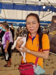 367754575_618387707106594_8808149194133942318_n.jpg - ทำหมัน ท่านที่รับอุปการะ ลูกสุนัขในงาน “ลำไยลำพูน” สามารถติดต่อกลับ เพื่อลงทะเบียน “ทำหมัน” ได้แล้วค | https://www.santisookdogandcat.org
