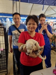 367755885_618387767106588_7047376011254491453_n.jpg - ทำหมัน ท่านที่รับอุปการะ ลูกสุนัขในงาน “ลำไยลำพูน” สามารถติดต่อกลับ เพื่อลงทะเบียน “ทำหมัน” ได้แล้วค | https://www.santisookdogandcat.org