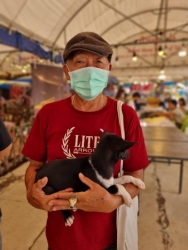 367963787_618387757106589_903182542147109644_n.jpg - ทำหมัน ท่านที่รับอุปการะ ลูกสุนัขในงาน “ลำไยลำพูน” สามารถติดต่อกลับ เพื่อลงทะเบียน “ทำหมัน” ได้แล้วค | https://www.santisookdogandcat.org