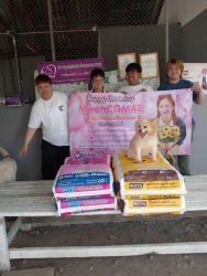 433107771_734297828848914_7949322860582523344_n.jpg - Thank you for all Donations ทุกความเมตตา ทุกความช่วยเหลือ ของทุกๆท่าน แม้ผู้ที่ไม่ประสงค์ออกนาม | https://www.santisookdogandcat.org