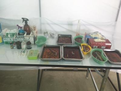 Setup for TNR program Spay/neutering stop Populations Animals Santisook dog and cat rescue foundation ทำหมันในช่วงนี้ทางมูลนิธิสันติสุขเพื่อสุนัขและแม