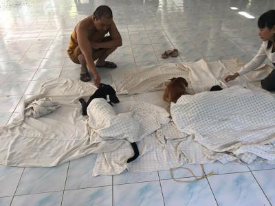 หยุดการแพร่พันธ์น้องหมาน้องแมว เมื่อวานทาง มูลนิธิสันติสุขเพื่อสุนัขและแมวจรจัด ได้ทำหมันน้องหมาน้องแมวจรจัด ที่อาศัยอยู่ที่ วัดพระธาตุทรายทอง ลำพูน จ