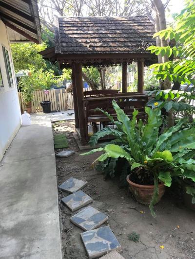 บ้านแมวสันติสุข บ้านแมวสันติสุข