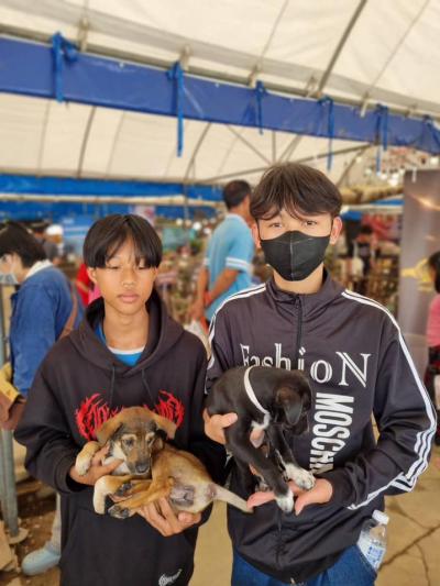 ทำหมัน ท่านที่รับอุปการะ ลูกสุนัขในงาน “ลำไยลำพูน” สามารถติดต่อกลับ เพื่อลงทะเบียน “ทำหมัน” ได้แล้วค่ะ ทำหมัน ท่านที่รับอุปการะ ลูกสุนัขในงาน “ลำไยลำพูน” สามารถติดต่อกลับ เพื่อลงทะเบียน “ทำหมัน” ได้แล้วค่ะ