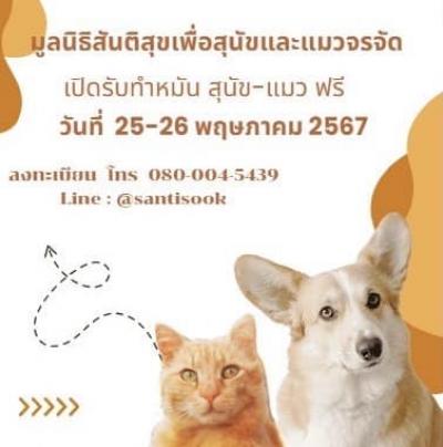 ทำหมันสุนัขและแมวจรจัด(ฟรี) เชียงใหม่ ทางมูลนิธิสันติสุขเพื่อสุนัขและแมวจรจัด เปิดทำหมันให้แก่สุนัขและแมว เพื่อหยุดการแพร่ขยายพันธุ์ เป็นสาเหตุ ทำหมันสุนัขและแมวจรจัด(ฟรี) เชียงใหม่ ทางมูลนิธิสันติสุขเพื่อสุนัขและแมวจรจัด เปิดทำหมันให้แก่สุนัขและแมว เพื่อหยุดการแพร่ขยายพันธุ์ เป็นสาเหตุ