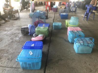 TNR Spay and neuter 165 animals โครงการทำหมันฟรี (ที่เสร็จแล้ว)ให้สุนัขและแมวจรจัด TNR Spay and neuter 165 animals โครงการทำหมันฟรี (ที่เสร็จแล้ว)ให้สุนัขและแมวจรจัด