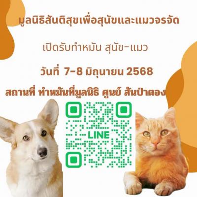 เปิดทำหมัน (ศูนย์สันป่าตอง) รอบที่ 3 ของเดือนมิถุนายน 2568 วันที่ 7-8 มิถุนายน 2568
