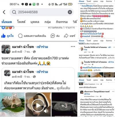 มิจฉาชีพห้ามโอน สุนัขตัวนี้ อยู่ที่ มูลนิธิสันติสุขเพื่อสุนัขและแมวจรจัด เชียงใหม่