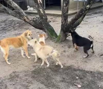 ในทุกวันคือความสุขของพวกเขาทั้งหลาย กินต้องอิ่ม เจ็บป่วยต้องได้รับการรักษา