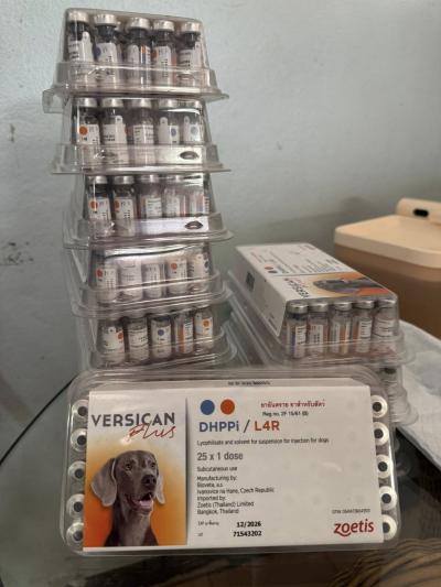 รัก ฉีดวัคซีน ป้องกันโรคให้กับสัตว์เลี้ยงกัน รักอย่างเดียวไม่พอ  ความรับผิดชอบต่อสัตว์