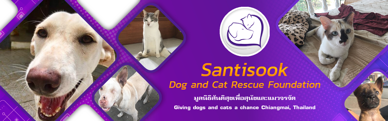 Santisook dog and cat rescue foundation